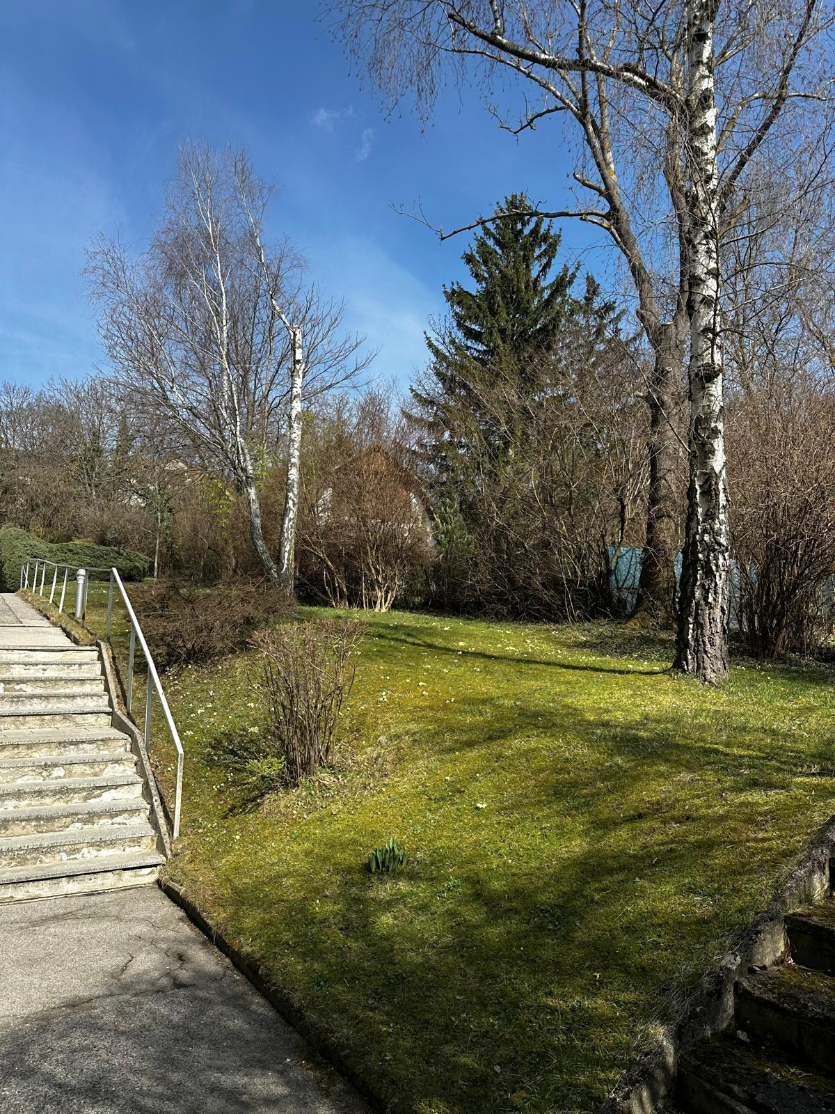 Gepflegter Gartenbereich mit altem Baumbestand um das Haus