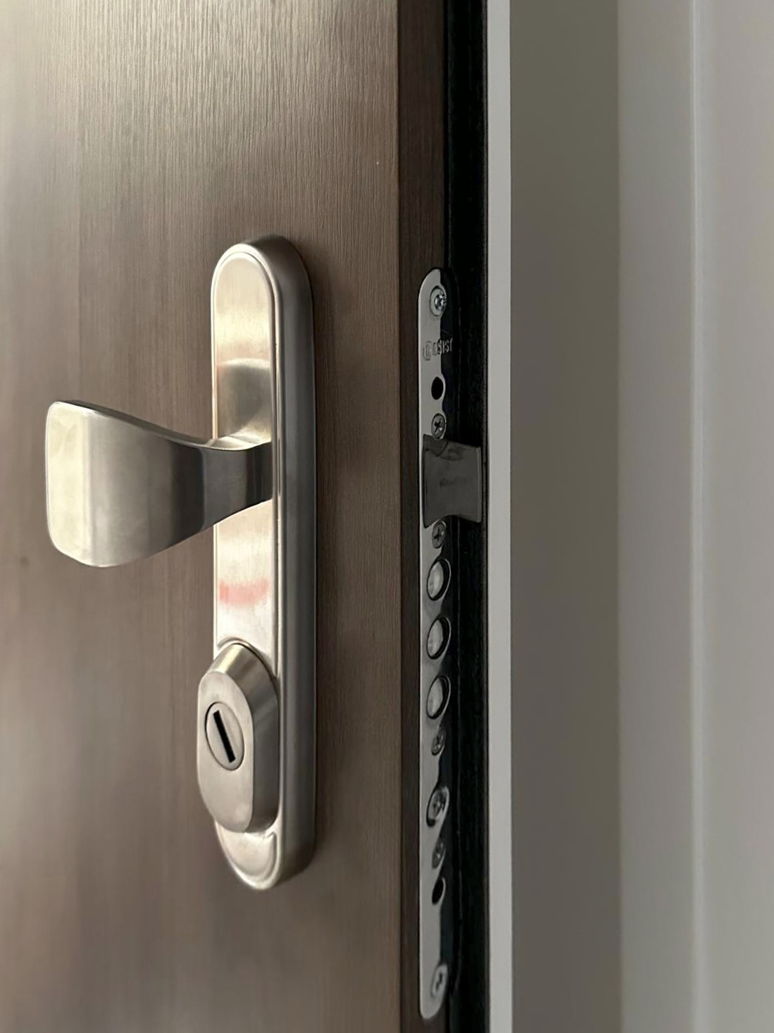 Edelstahl-Türdrücker der Eingangstür